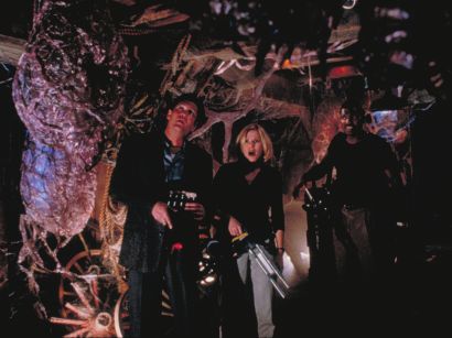 Species II
