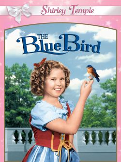The Blue Bird