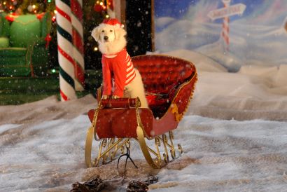 Santa Buddies