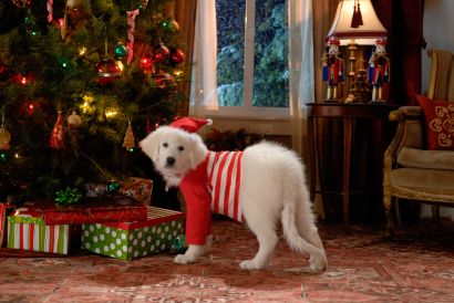Santa Buddies