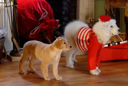 Santa Buddies