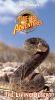 The Living Desert