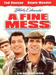 A Fine Mess