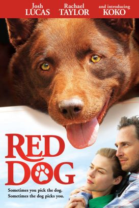 Red Dog (2011) - Kriv Stenders | Synopsis, Characteristics, Moods