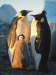 The Blue Planet: Seas of Life [TV Documentary Series]