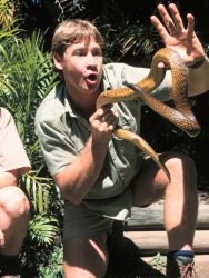 Discovery Networks