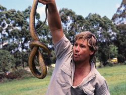 Discovery Networks