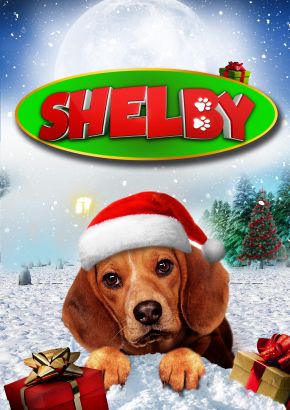 teddy and friends shelby dog