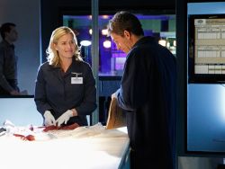 Sonja Flemming/CBS