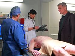Monty Brinton/CBS