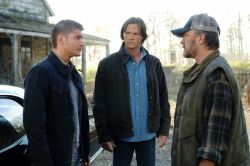 The CW