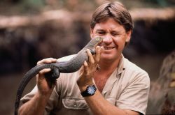 Discovery Networks