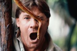 Discovery Networks
