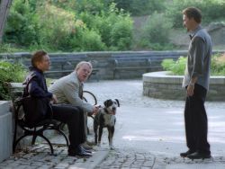 Touchstone Pictures