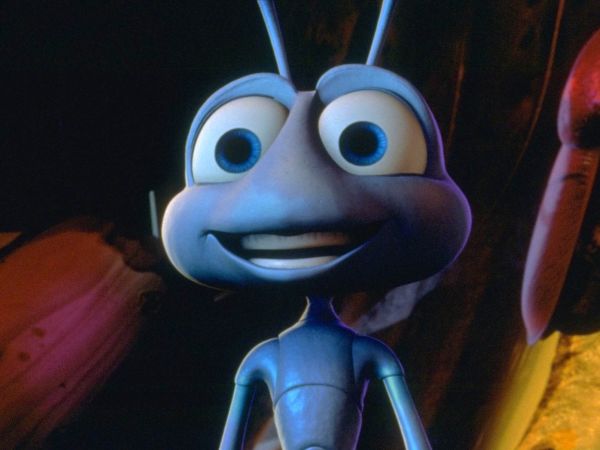 A Bug's Life