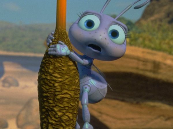 A Bug's Life