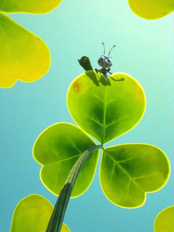A Bug's Life