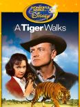 A Tiger Walks