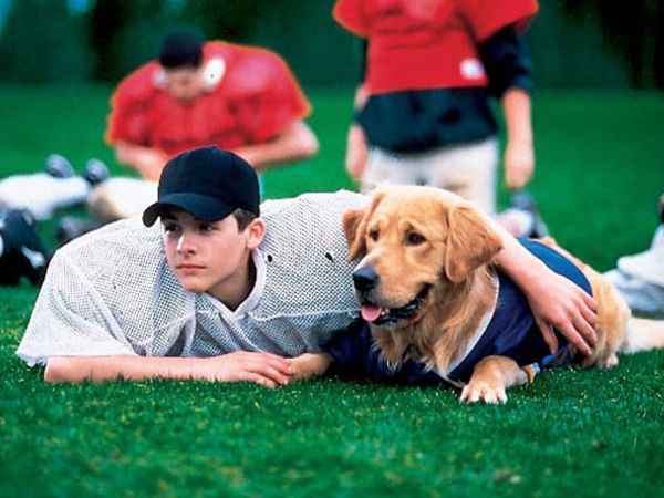 Watch Air Bud: Golden Receiver Online Facebook Hack