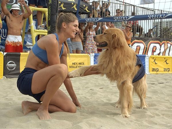 Air Bud Spikes Back