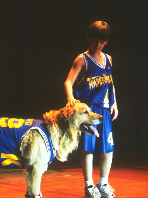 Air Bud
