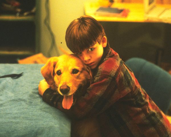 Air Bud