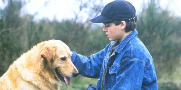 Air Bud