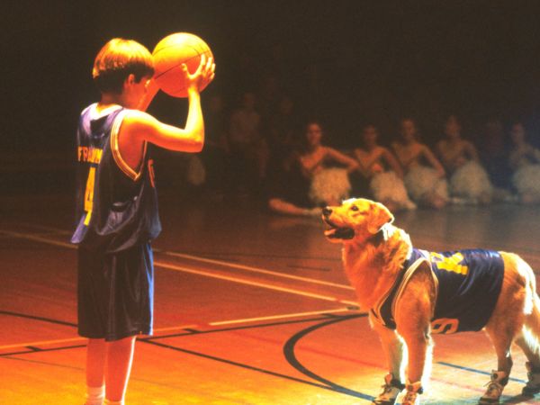 Air Bud
