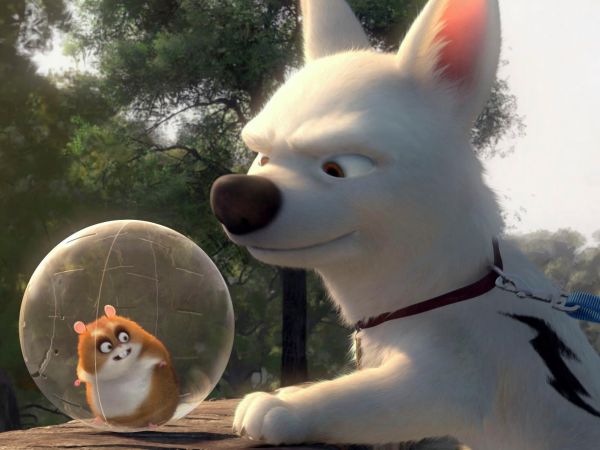 Bolt