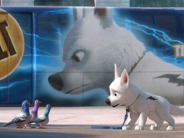 Bolt