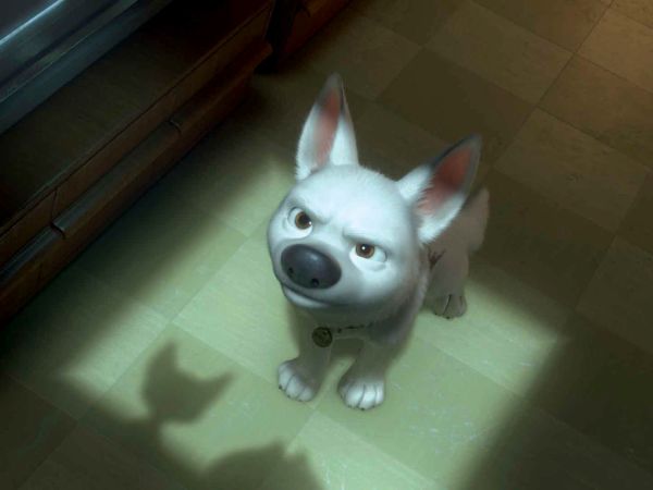 Bolt