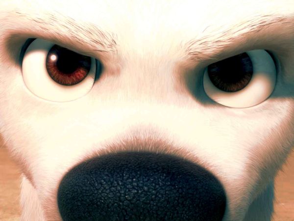 Bolt