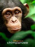 Chimpanzee