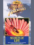 Secrets of Life