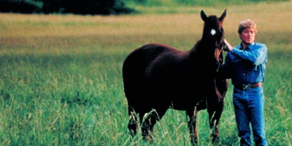 The Horse Whisperer