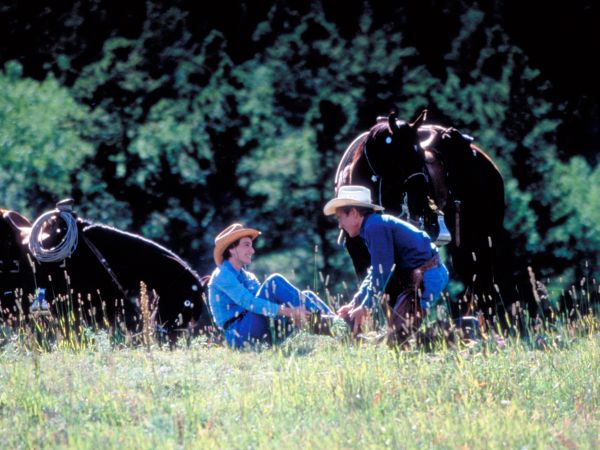 The Horse Whisperer