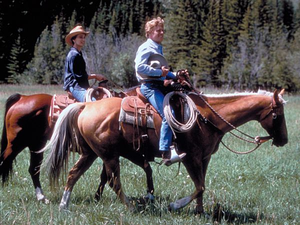 The Horse Whisperer