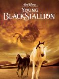 The Young Black Stallion
