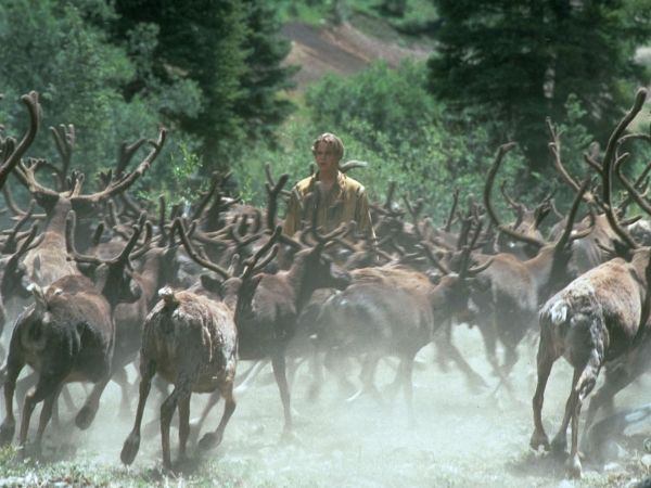 White Fang 2: Myth of the White Wolf