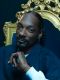 Snoop Dogg's Father Hood [TV Series]