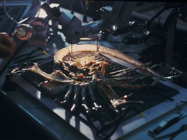 Alien Resurrection