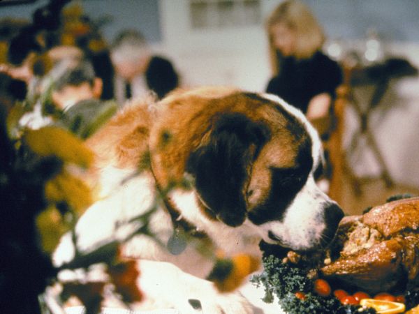 Beethoven