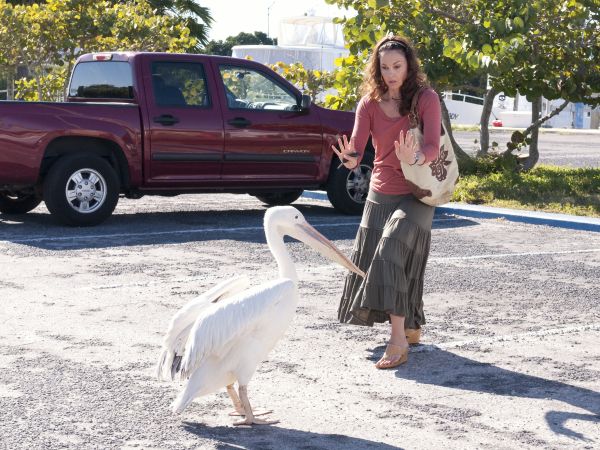 Dolphin Tale