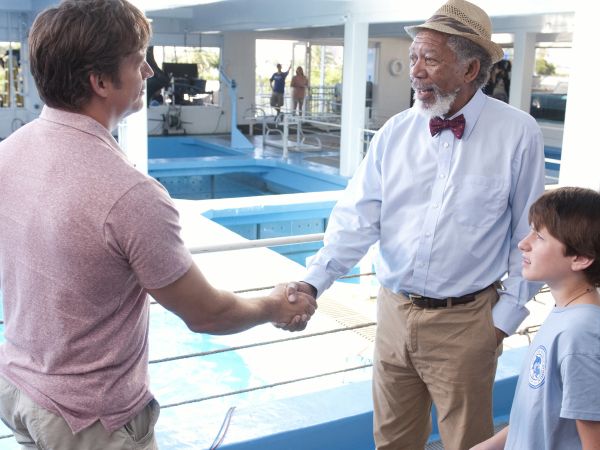 Dolphin Tale