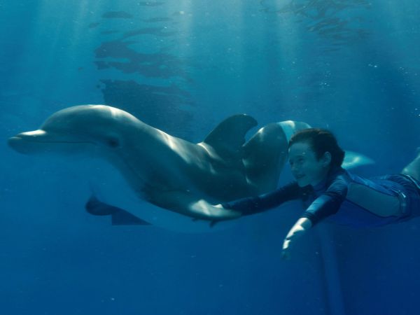 Dolphin Tale