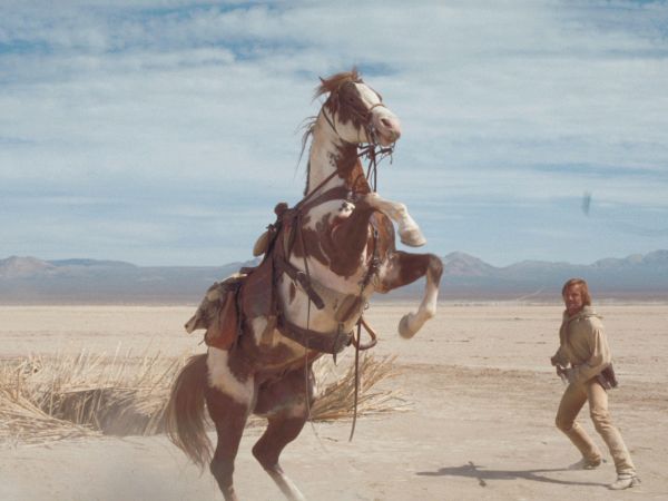 Hidalgo