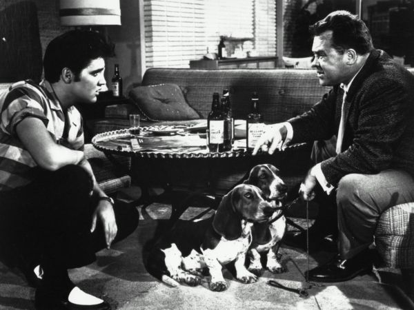 Jailhouse Rock