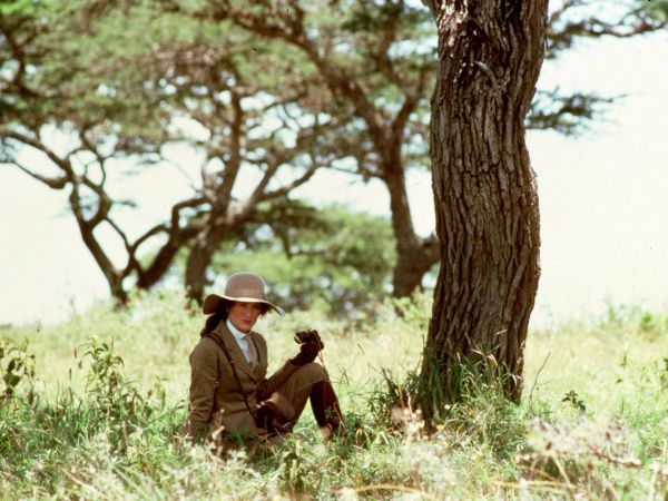 Out of Africa
