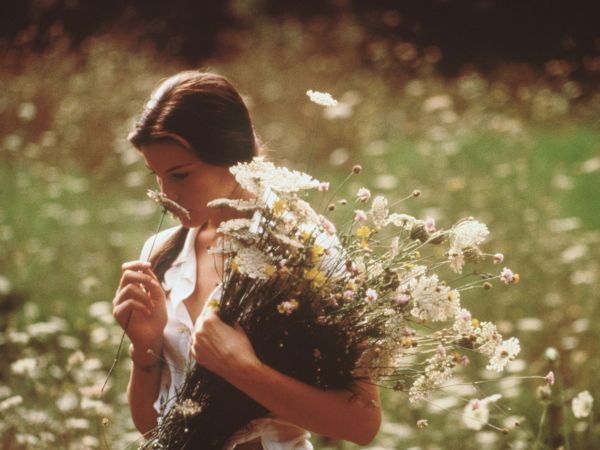 Stealing Beauty