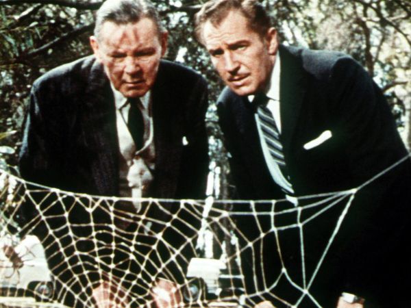 The Fly